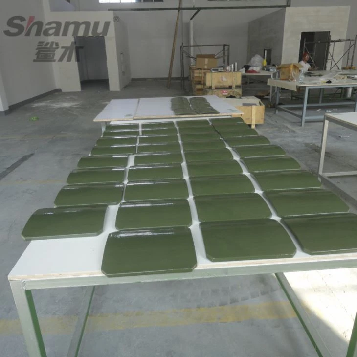 Shield Protection Polyurea